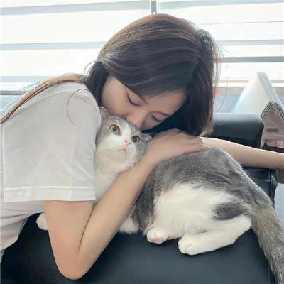 车仔西游记